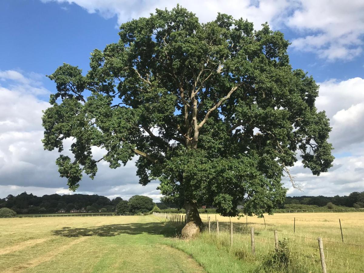 Redbrook Farm Bnb - Gateway To The New Forest Fordingbridge Exterior foto