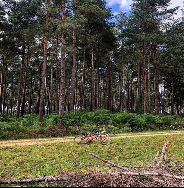 Redbrook Farm Bnb - Gateway To The New Forest Fordingbridge Exterior foto
