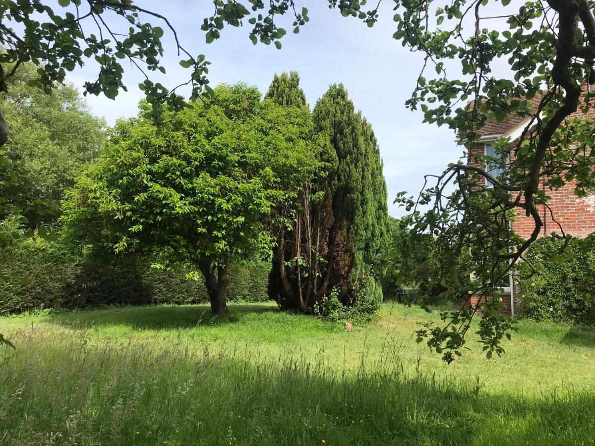 Redbrook Farm Bnb - Gateway To The New Forest Fordingbridge Exterior foto